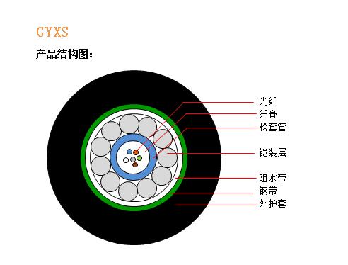 GYXS结构.jpg