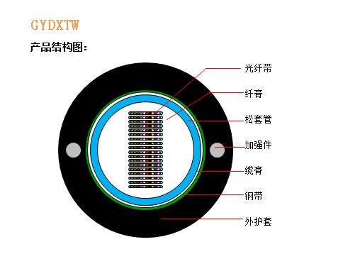 GYDXTW结构图.jpg
