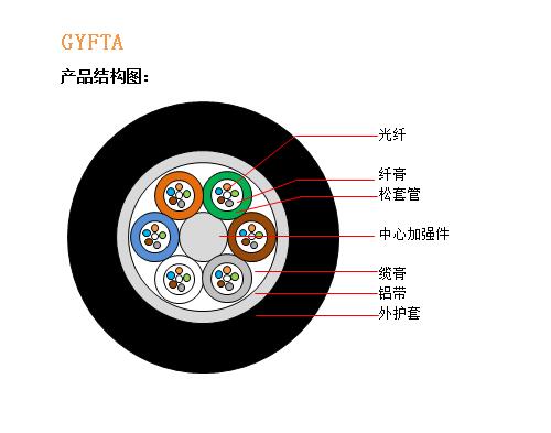 GYFTA结构图.jpg