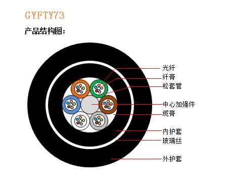 GYFTY73结构图.jpg